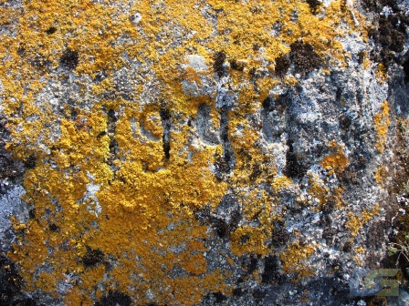 Надпись на камне
